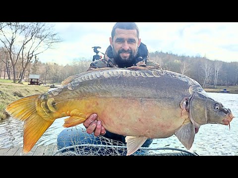 Видео: !!!!! Рибалка в РАЮ !!!!! Короп почав клювати, Перший ТРОФЕЙ 2025