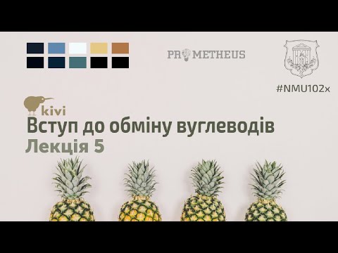 Видео: 1. Регуляція метаболізму глікогену. Частина 1