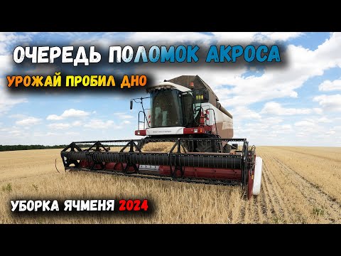 Видео: Уборка ячменя 2024. Урожай пробил дно. Очередь поломок АКРОСА