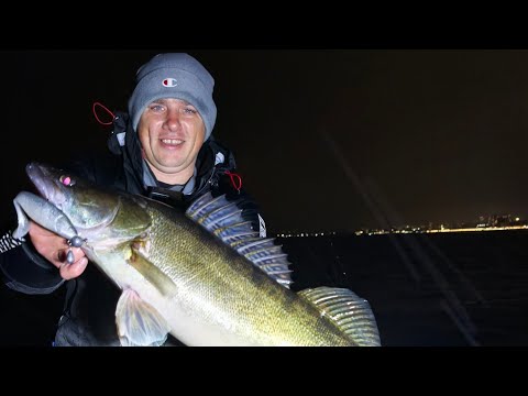 Видео: ЭТИ ПОКЛЕВКИ НЕ ЗАБЫТЬ! ТРОФЕЙНАЯ ночная рыбалка по судаку