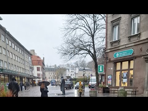 Видео: Установка Рождественской Ели на Ратушной Площади. 