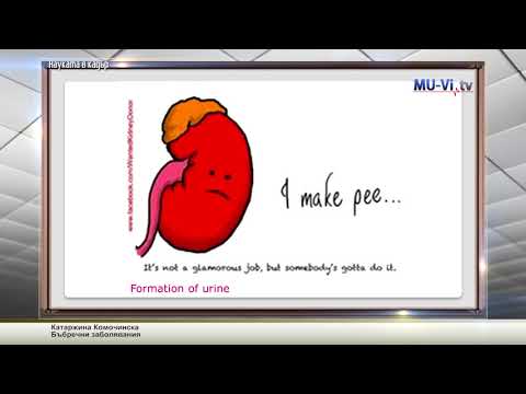 Видео: Бъбречни заболявания