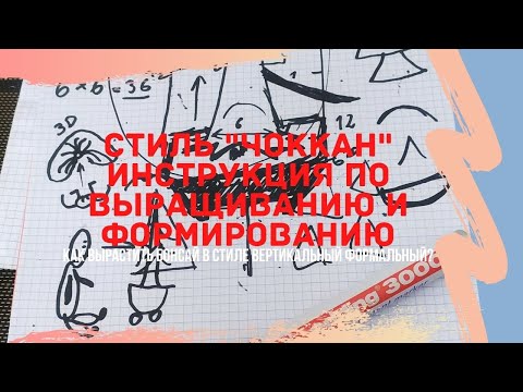 Видео: Стили бонсай - Чоккан. Как вырастить бонсай в формальном вертикальном стиле? Chokkan bonsai style