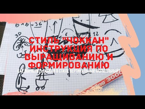 Видео: Стили бонсай - Чоккан. Как вырастить бонсай в формальном вертикальном стиле? Chokkan bonsai style