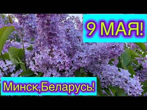 Видео: Праздничный Минск,Беларусь!9 МАЯ! Minsk, Belarus, celebrates Victory Day!