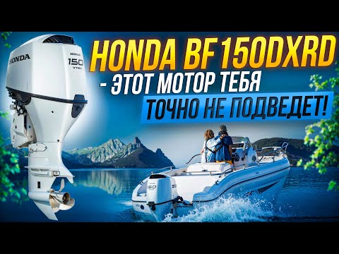 Видео: HONDA BF150DXRD— Безотказный мотор для любых условий!