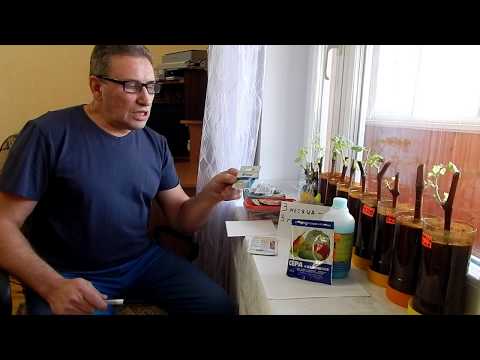 Видео: Фунгициды и правильное применение на винограднике.