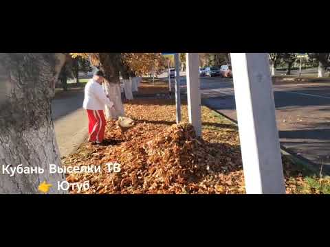 Видео: 1 ноября 2025 г.