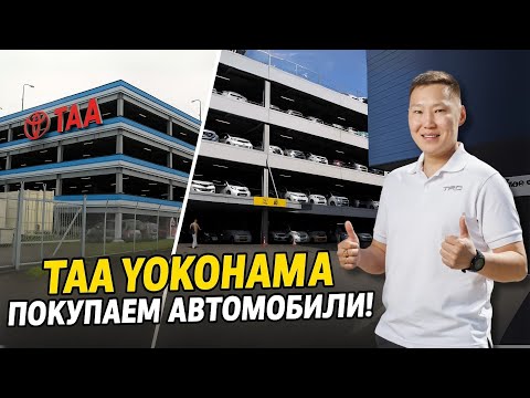 Видео: TAA YOKOHAMA покупаем автомобили!