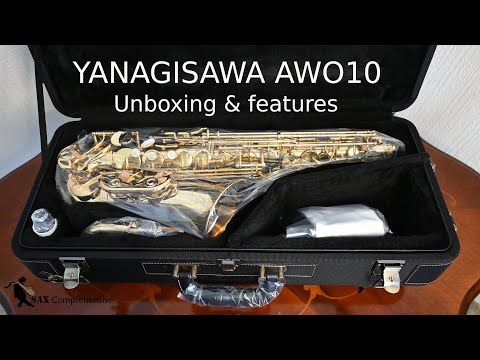 Видео: Янагисава AWO10 Альт Саксофон