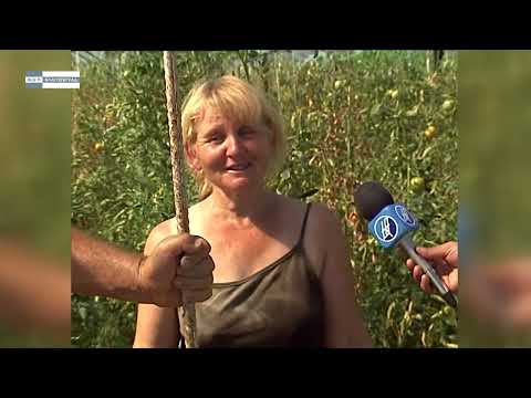 Видео: Село Левуново