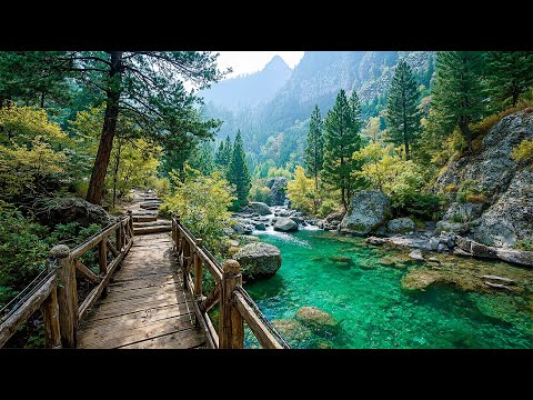 Видео: 🌿 Целебная музыка для души 🌙 Нежное пианино для снятия стресса, лучшего сна 😴✨