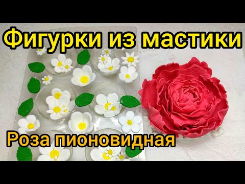 Видео: Цветок из мастики. Роза. Ромашки.