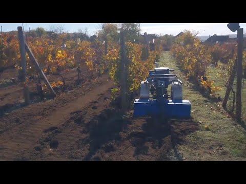 Видео: Фрезеруем виноградники тяжёлым мотоблоком