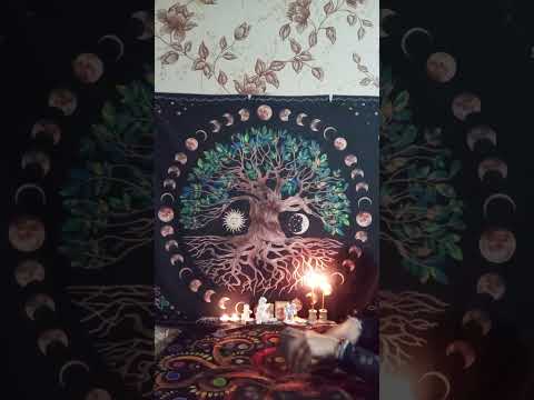 Видео: 🌠☘️ТАРО ДЛЯ МУЖЧИН. Событийность ближайших денечков#мысличувствадействия #tarot ☘️🌠