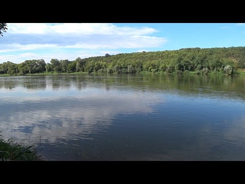 Видео: Полювання на сома. Дністер