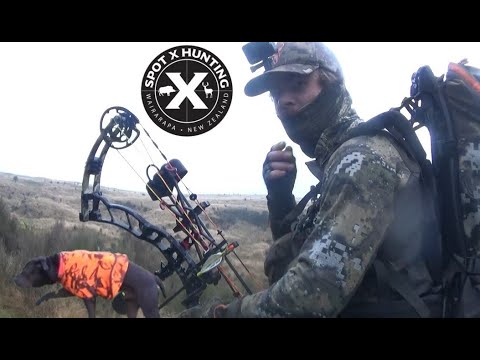 Видео: Охота с луком и собакой-указателем — Spot X Hunting New Zealand