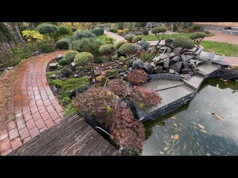 Видео: КАМЕНИСТЫЙ САДИК БЕЗ СЕДУМОВ:ВЗГЛЯД ПО-НОВОМУ! НАЧАЛЬНАЯ СТРИЖКА КАРЛИКОВЫХ ЕЛЕЙ:SONIA, ECHINIFORMIS