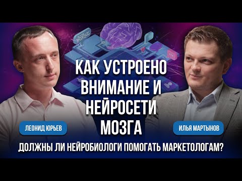 Видео: Как устроены внимание и нейросети мозга