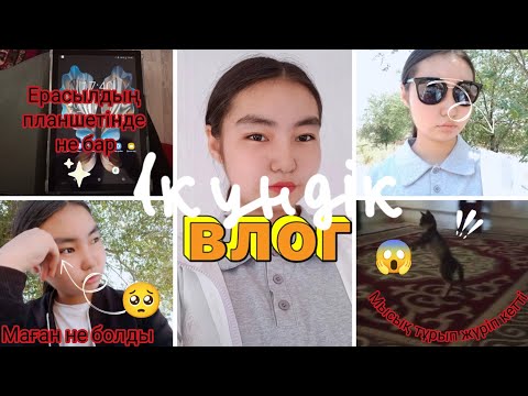 Видео: 1КҮНДІК ВЛОГ🎬/Маған не болды🥺💔Мысық тұрып жүріп кетті😱Ерасылдың планшетінде не бар🤔Тіркелуді✅ұмытпа