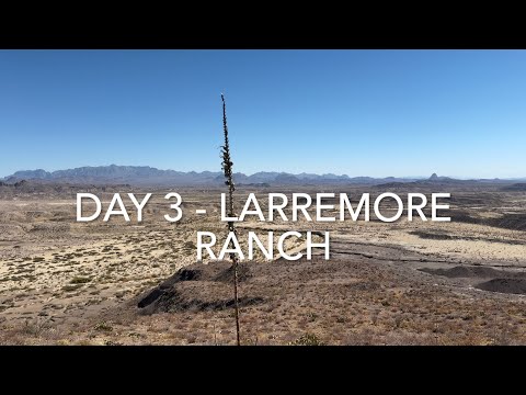 Видео: День 3 из 5 — Рокхаундинг на частных ранчо в Западном Техасе