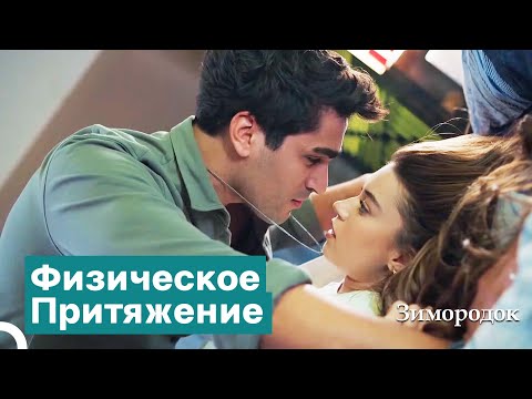 Видео: Зимородок Ферит: Превратится Ли Это Электричество В Любовь? | Зимородок