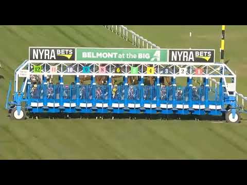 Видео: R6 Belmont AtThe Big A 26 октября 2025 г.