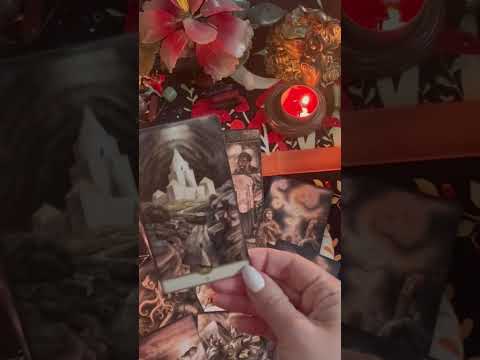 Видео: Что он осознал ???😏❤️❤️