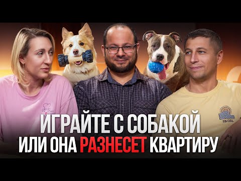 Видео: СОБАКА РАЗНЕСЕТ ВСЮ КВАРТИРУ? ПОЧЕМУ ВАЖНО ИГРАТЬ?
