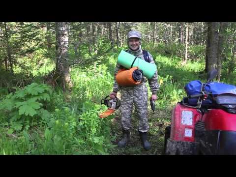 Видео: 18+ Парный квадро-поход по следам шишкарей в тайгу :D Кузнецкого Алатау на Cf500 от CFMOTO