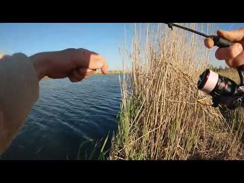 Видео: 2025.04.28 Миус. Берег. Пытаюсь ловить на мормышку.