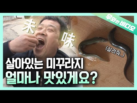 Видео: Лучший рецепт для Mudfish - «Еда вживую» !! Следующий вызов Гордона Рамсея