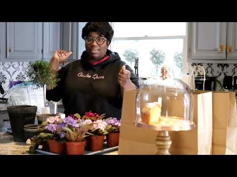 Видео: Хак с долларовым деревом: африканские фиалки + фигурная стрижка кустов из мирта + перевозка цвето...