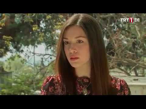 Видео: Разные оттенки Любви