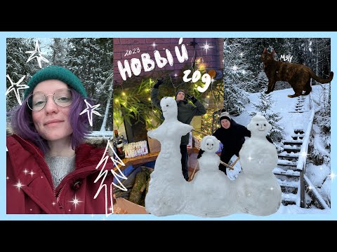 Видео: новый год на даче🎁