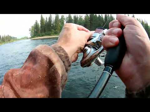 Видео: Горная река. За ленком и хариусом