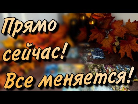 Видео: ✨ Высшие силы ГОВОРЯТ❗️Видят вашу ситуацию СЕЙЧАС🔮ВАС  удивит