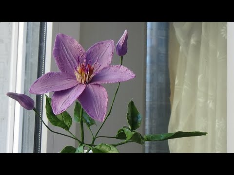 Видео: КЛЕМАТИС ИЗ ХОЛОДНОГО ФАРФОРА. (ЛОМОНОС)  CLEMATIS