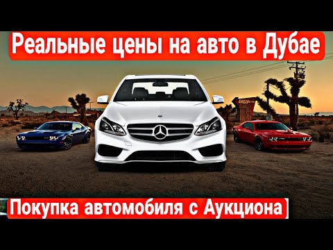 Видео: Авторынок Дубай . Реальные цены на авто в Дубае 2025 . Аукцион в Дубае 