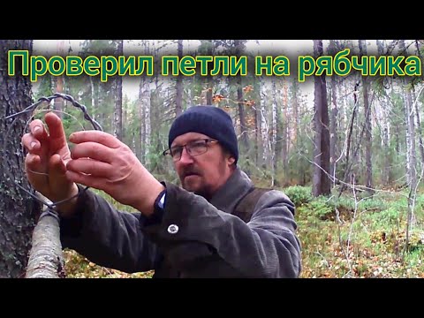 Видео: Проверил петли на рябчика. Почистил хлам с путика.