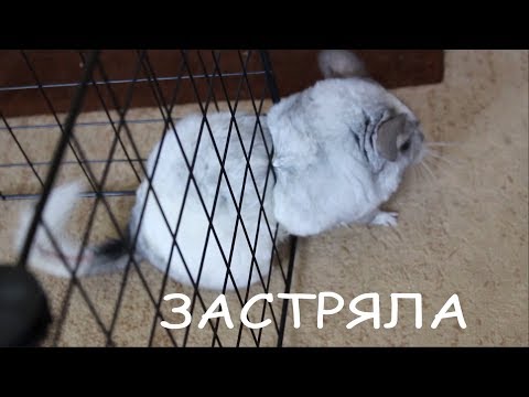 Видео: Нюша застряла