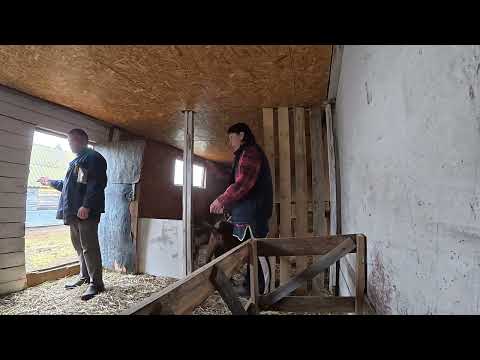 Видео: Думаем одинаково, как получится посмотрим.. 