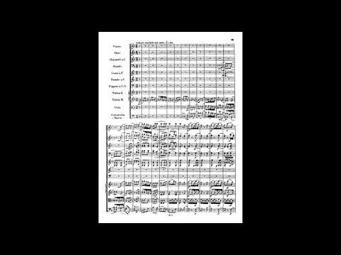 Видео: Бетховен, Симфония # 1 До-мажор (1799-1800) опус 21