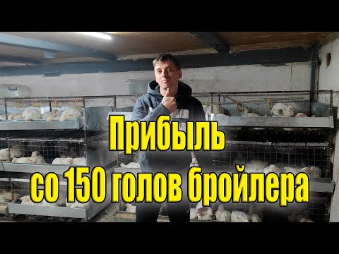 Видео: Выгодно ли держать бройлера?