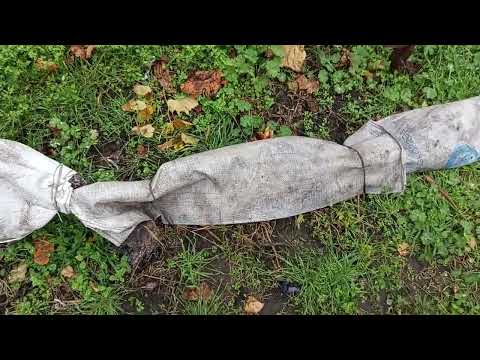 Видео: Виноград обрізав і обробив підготовив до укриття на зиму 