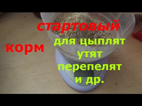 Видео: стартовый корм для цыплят,перепелят,утят и др./рецепт