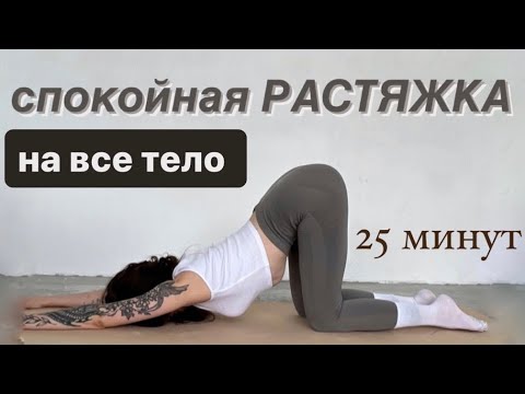 Видео: Мягкая РАССЛАБЛЯЮЩАЯ растяжка // простые упражнения для начинающих