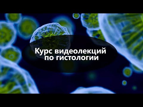 Видео: Лекция: Введение в Гистологию