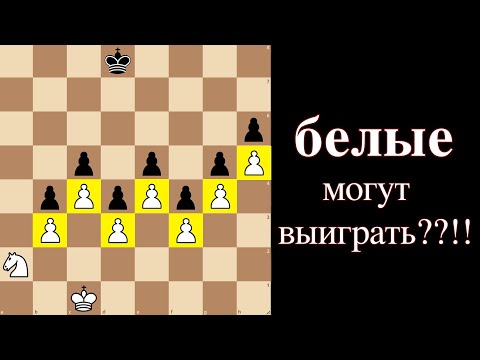 Видео: Шахматная загадка: найдёшь ли ты победу?