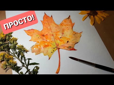 Видео: РИСУЕМ КЛЕНОВЫЙ ЛИСТ ПОШАГОВО - АКВАРЕЛЬЮ. Осенние рисунки для начинающих